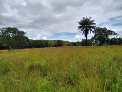 FAZENDA EM VELHO DA TAIPA / PITANGUI