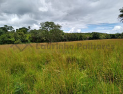 FAZENDA EM VELHO DA TAIPA / PITANGUI