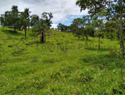 FAZENDA EM VELHO DA TAIPA / PITANGUI