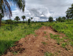 FAZENDA EM VELHO DA TAIPA / PITANGUI