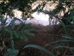 FAZENDA EM VELHO DA TAIPA / PITANGUI