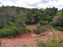 FAZENDA EM VELHO DA TAIPA / PITANGUI