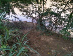 FAZENDA EM VELHO DA TAIPA / PITANGUI