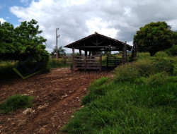 FAZENDA EM VELHO DA TAIPA / PITANGUI