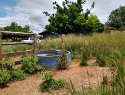 FAZENDA EM VELHO DA TAIPA / PITANGUI