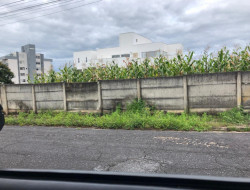 LOTE RUA ALAGOAS / SÃO JOSÉ