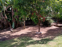 CHÁCARA EM CÓRREGO DO BARRO / PARÁ DE MINAS