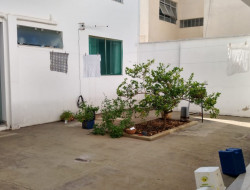 VENDO  DUAS CASAS E 01 LOTE BAIRRO SÃO JOSÉ