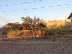 DOIS LOTES DE ESQUINA JUNTOS / BAIRRO SÃO JOSÉ