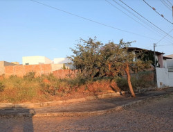 DOIS LOTES DE ESQUINA JUNTOS / BAIRRO SÃO JOSÉ