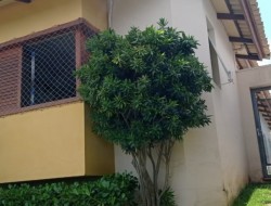 CASA ALTO PADRÃO / BAIRRO  SÃO JOSÉ