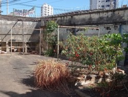 CASA DE ESQUINA PRÓXIMO AO CENTRO