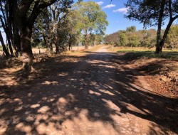 EXCELENTES CHÁCARAS DENTRO DE CONDOMÍNIO FECHADO/ PARÁ DE MINAS