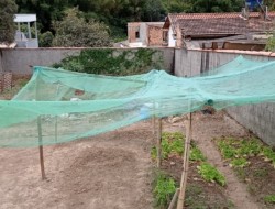 LOTE COMERCIAL E TODO MURADO EM TAVARES