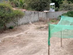 LOTE COMERCIAL E TODO MURADO EM TAVARES