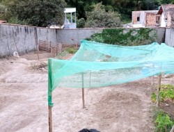 LOTE COMERCIAL E TODO MURADO EM TAVARES