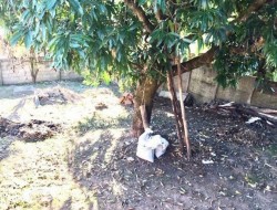 CASA LOCALIZADA EM SÃO JOSÉ DA VARGINHA