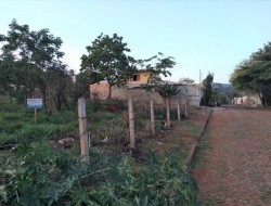 3 LOTES EM CAPOEIRA GRANDE