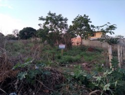 3 LOTES EM CAPOEIRA GRANDE