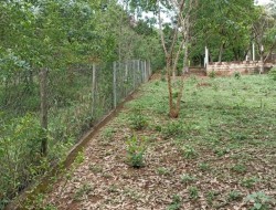 CHÁCARA EM CÓRREGO DAS PEDRAS