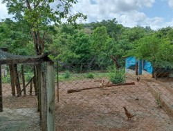 CHÁCARA EM CÓRREGO DAS PEDRAS