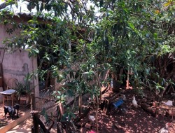 CASA NO BAIRRO ELDORADO