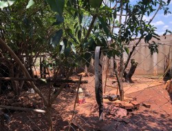 CASA NO BAIRRO ELDORADO