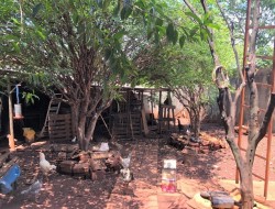 CASA NO BAIRRO ELDORADO