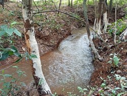 CHÁCARA EM CÓRREGO DAS PEDRAS