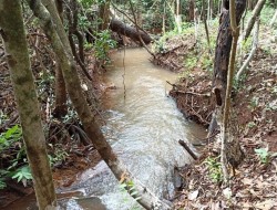 CHÁCARA EM CÓRREGO DAS PEDRAS