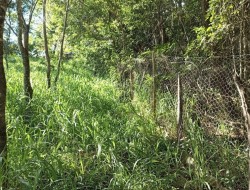 CHÁCARA EM PALMITAL