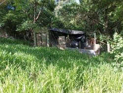 CHÁCARA EM PALMITAL