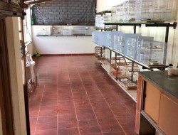 CASA NO BAIRRO VILA FERREIRA