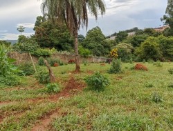 ÁREA IDEAL PARA LOTEAMENTO, INDÚSTRIA,  GALPÃO; PRÓXIMA TREVO PARÁ DE MINAS/PEQUI