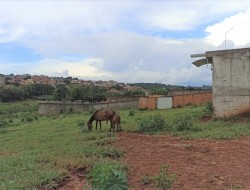 ÁREA IDEAL PARA LOTEAMENTO, INDÚSTRIA,  GALPÃO; PRÓXIMA TREVO PARÁ DE MINAS/PEQUI