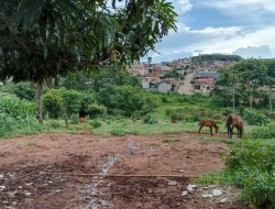 ÁREA IDEAL PARA LOTEAMENTO, INDÚSTRIA,  GALPÃO; PRÓXIMA TREVO PARÁ DE MINAS/PEQUI