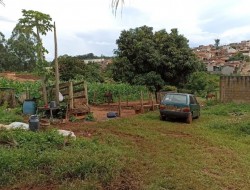 ÁREA IDEAL PARA LOTEAMENTO, INDÚSTRIA,  GALPÃO; PRÓXIMA TREVO PARÁ DE MINAS/PEQUI
