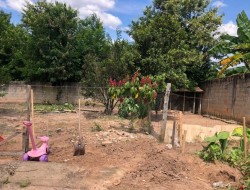 CHÁCARA EM ASCENSÃO