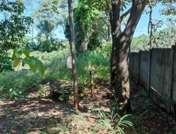 CHÁCARA EM BARRO PRETO / PARÁ DE MINAS