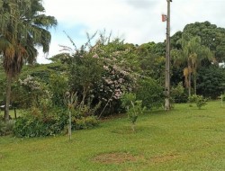 EXCELENTE CHÁCARA EM CONQUISTA/SÃO JOSÉ DA VARGINHA