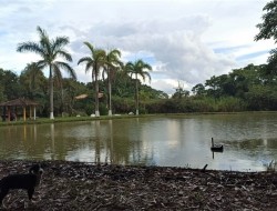 EXCELENTE CHÁCARA EM CONQUISTA/SÃO JOSÉ DA VARGINHA