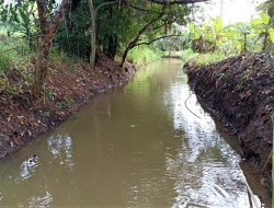 EXCELENTE CHÁCARA EM CONQUISTA/SÃO JOSÉ DA VARGINHA