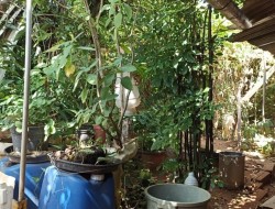 CASA NO BAIRRO ESPLANADA