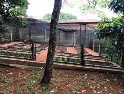 CHÁCARA EM ASCENÇÃO/ PARÁ DE MINAS