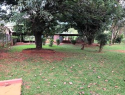 CHÁCARA EM ASCENÇÃO/ PARÁ DE MINAS