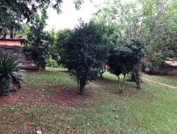 CHÁCARA EM ASCENÇÃO/ PARÁ DE MINAS