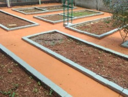 CHÁCARA EM ASCENÇÃO/ PARÁ DE MINAS