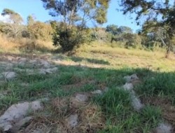 CHÁCARA PRÓXIMO AO MILHÃO E A BR-262