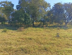 SÍTIO LOCALIZADO AO LADO CONDOMÍNIO ORIZONTE FAZENDAS