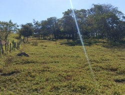 SÍTIO LOCALIZADO AO LADO CONDOMÍNIO ORIZONTE FAZENDAS
